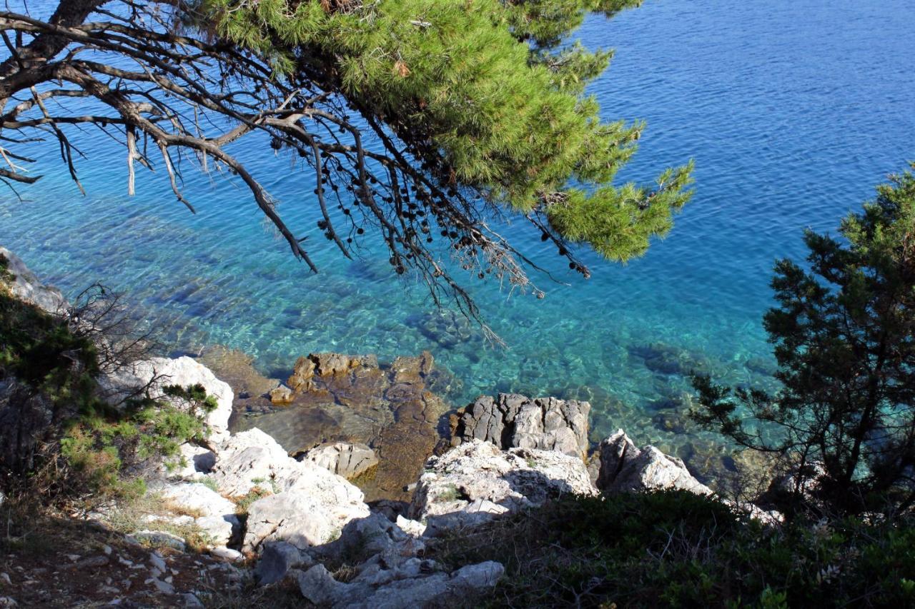 Apartments With A Parking Space Bozava, Dugi Otok - 8108 ภายนอก รูปภาพ