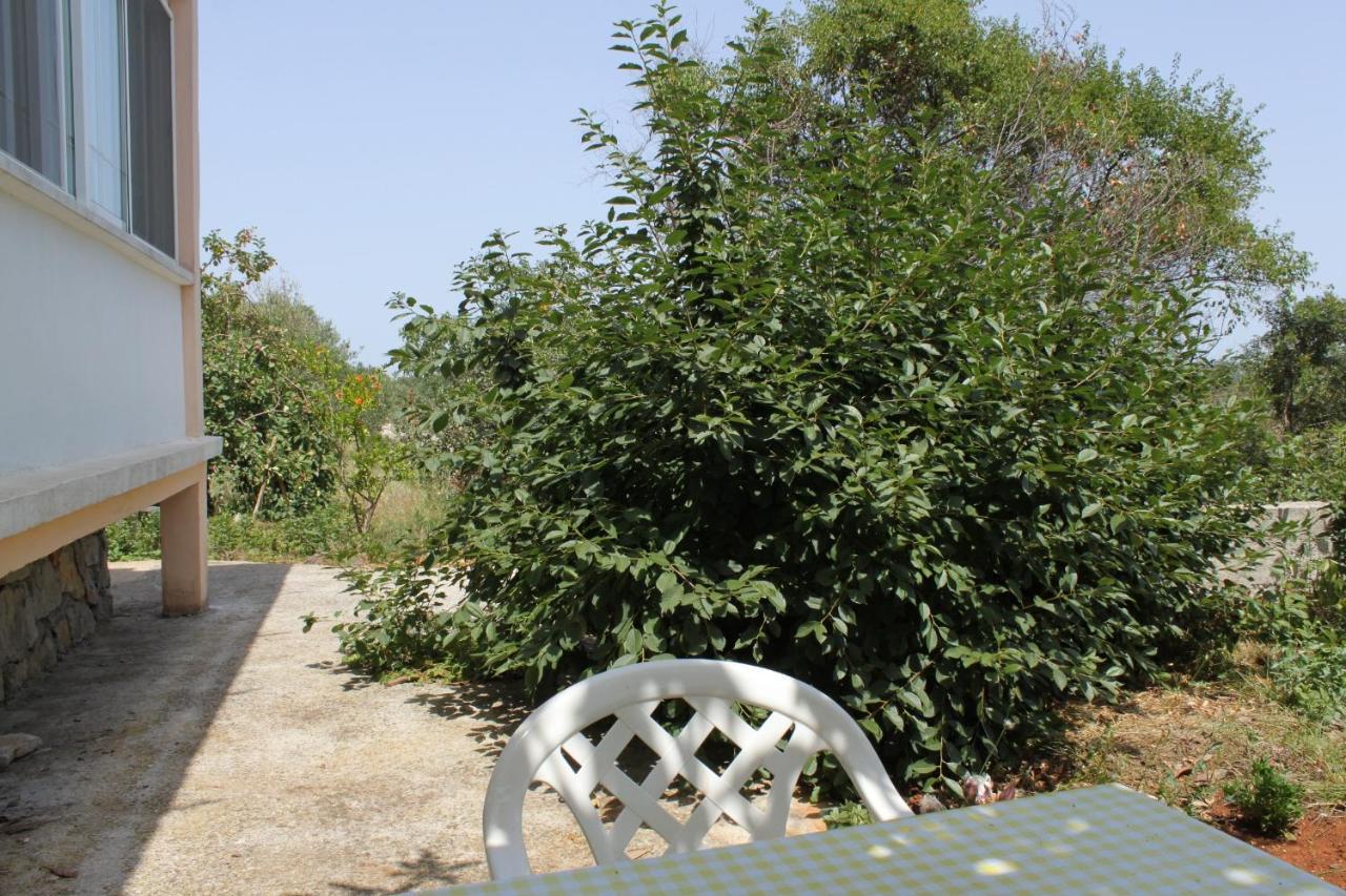 Apartments With A Parking Space Bozava, Dugi Otok - 8108 ภายนอก รูปภาพ